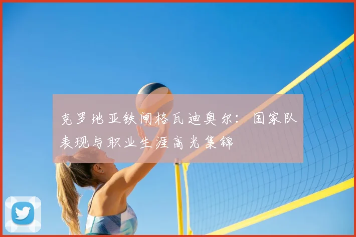 克罗地亚铁闸格瓦迪奥尔:国家队表现与职业生涯高光集锦